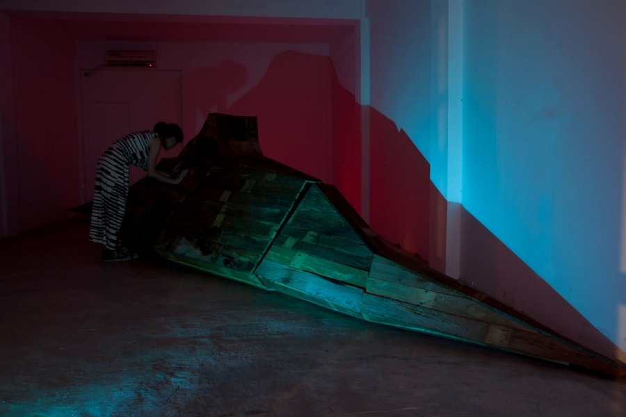 Gaia Project : The Elegant Giant - Chiu Chen-Hung Solo Exhibition