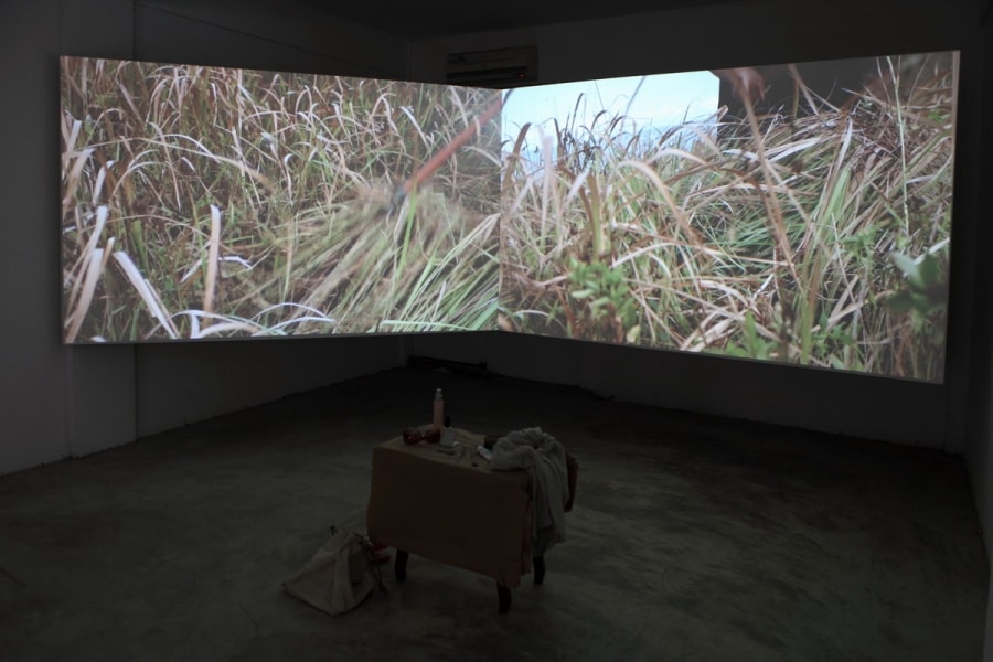 Inner Drama : Tender Revolution - Fan Hsiao-Lan Solo Exhibition