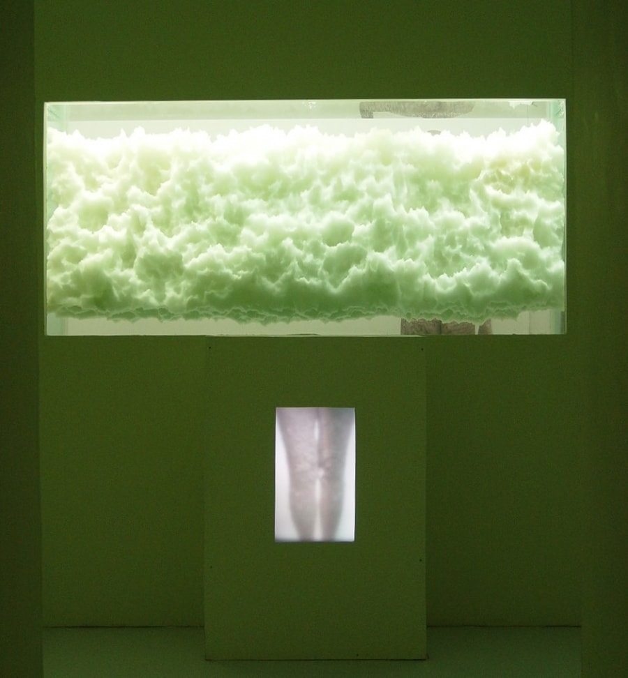 Physical Exercise Produce - Tsai Ying-Cheng Solo Exhibition